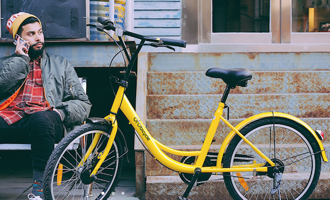 ofo customer service number