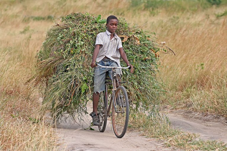 quand a été inventé la bicyclette