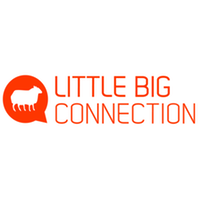 LittleBigConnection