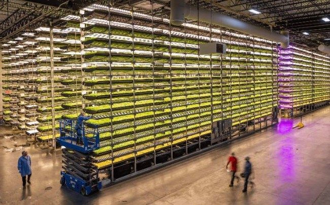 AeroFarms