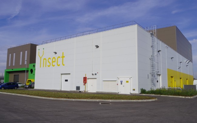Ynsect