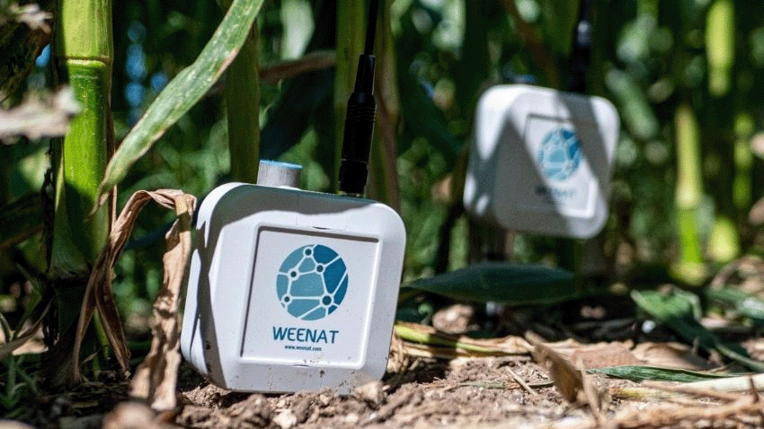 Connaissez-vous Weenat, la startup qui optimise l’irrigation grâce à l’intelligence artificielle ?